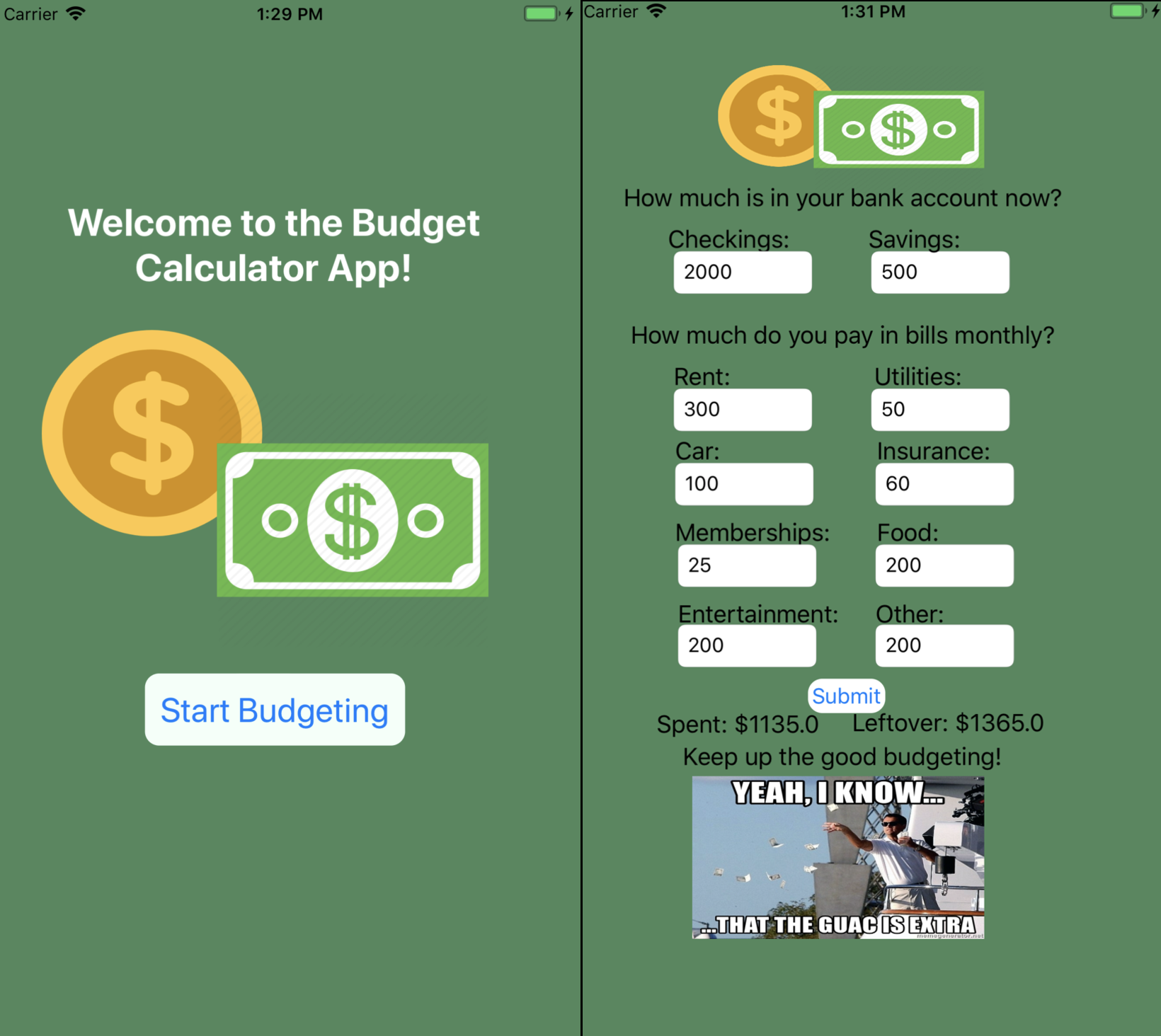Budgeting App Developed by Danielle Molinar in Mobile Media Design course